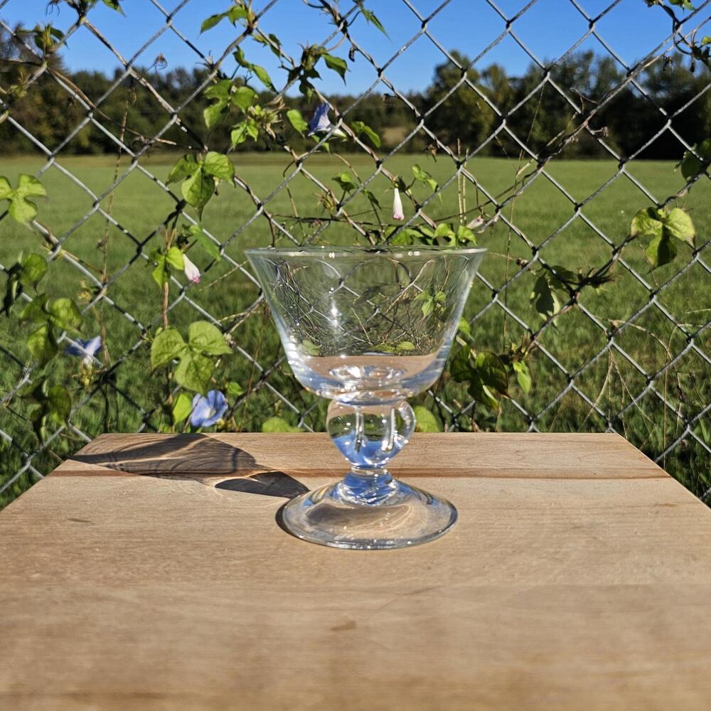Vintage Seneca Glass Ingrid Champagne Tall Sherbert Glass